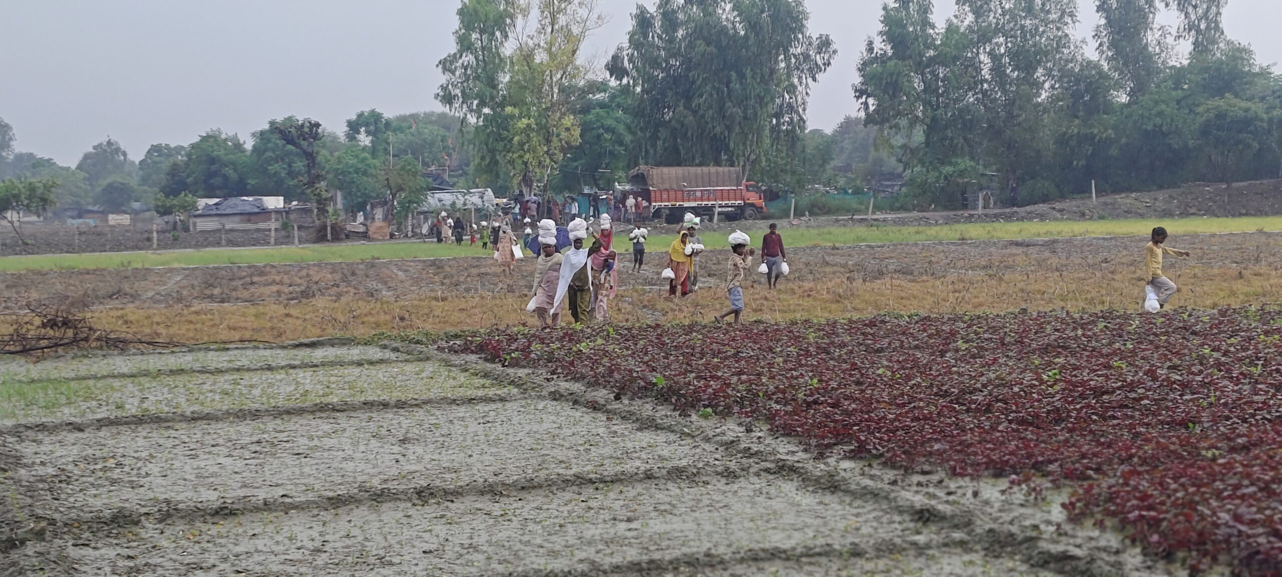 Republic Day celebration photo 1